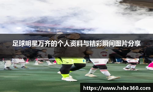 BOB半岛登录入口